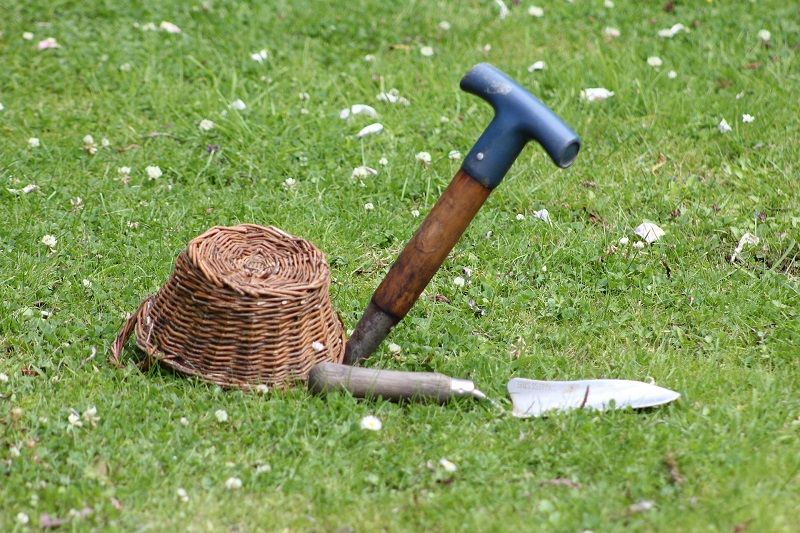 panier plantoir