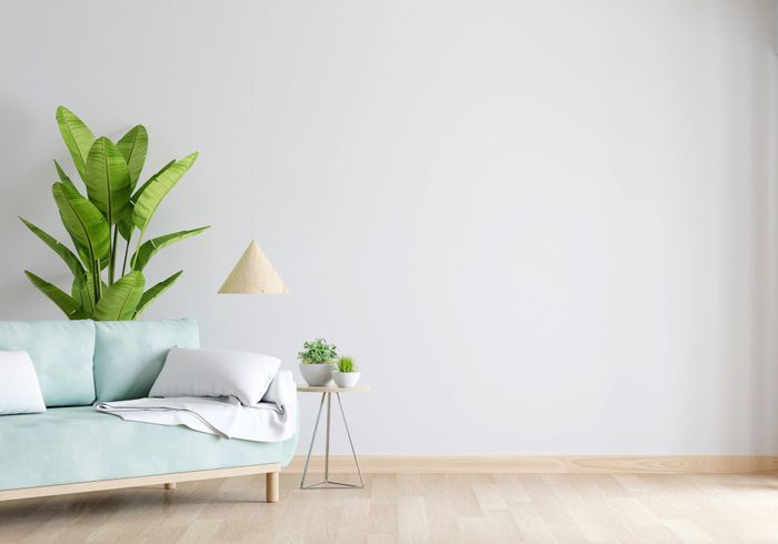 decorer salon petit budget plantes