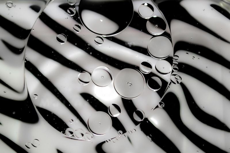 motif zèbre