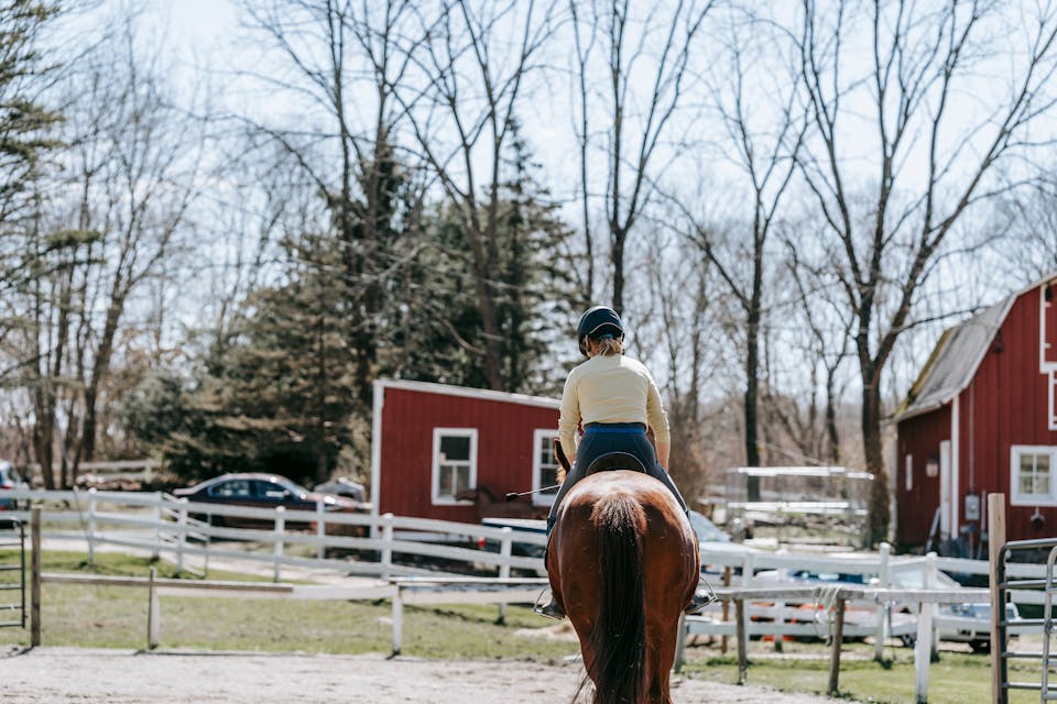 polo d'éqitation pour fille 3