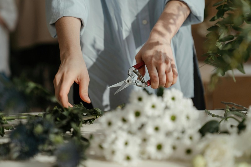 couper les branches avec un sécateur