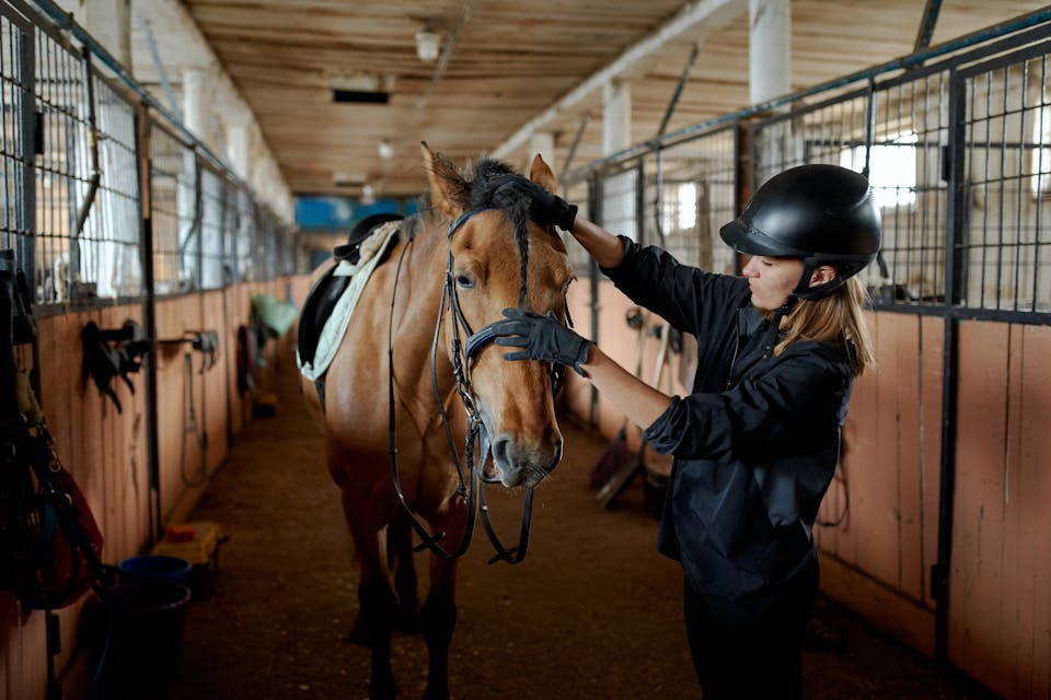 look d'équitation 3